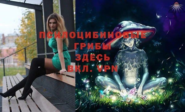 синтетический гашиш Богородицк