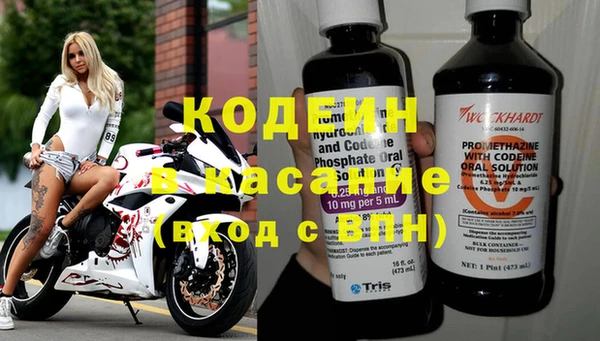 прущие грибы Бугульма