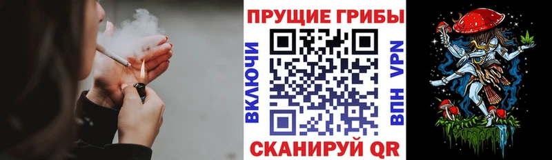 Псилоцибиновые грибы мицелий купить наркоту Медвежьегорск